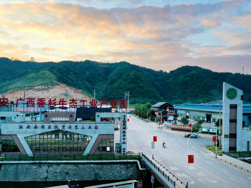 香杉原木精深加工全产业链项目可行性研究报告编制